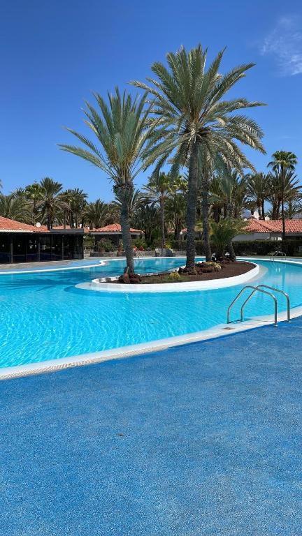 Sun Club Luxus Bungalow Projecto 65 Maspalomas  Exterior photo