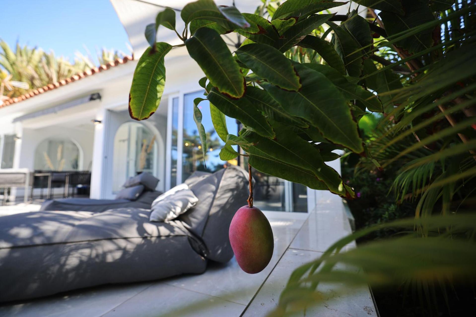 Sun Club Luxus Bungalow Projecto 65 Maspalomas  Exterior photo